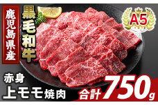 K-483-C 鹿児島県産A5等級黒毛和牛赤身上モモ焼肉(計750g)【ふるさと産直バザール】霧島市 牛肉 国産 鹿児島県産 モモ 焼肉 肉 精肉