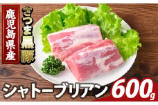 K-485-B 鹿児島県産さつま黒豚 シャトーブリアン(計600g)【ふるさと産直バザール】霧島市 シャトーブリアン ヒレ肉 黒豚 国産 鹿児島県産 肉 精肉