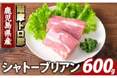 K-487-B 鹿児島県産 薩摩トロ豚 シャトーブリアン(計600g)【ふるさと産直バザール】霧島市 シャトーブリアン ヒレ肉  国産 鹿児島県産 肉 精肉