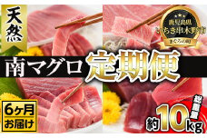 【6ヶ月定期便】南マグロ大トロ、中トロ、赤身を半年間毎月送付　新洋水産（有）【S-021H】