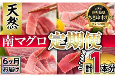 【6ヶ月連続お届け！】南マグロ丸ごと１本分定期便<新洋水産（有）>【G-011H】