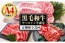【3か月定期便】カットを選べる！鹿児島県産 黒毛和牛 サーロイン 半頭分 9kg（3kg×3回)  A4等級以上 ！ステーキ カット スライス カット 焼肉 カット から選べます！ 冷凍 国産 鹿児島県産 黒毛和牛すき焼き しゃぶしゃぶ 焼肉 半頭分 定期便【G-003H】