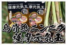 黒酢もろみにんにく卵黄 2ヶ月分 124粒（62粒×2袋）＜薩摩元気玉・黒＞常温 烏骨鶏卵 有機栽培 にんにく 黒酢もろみ 発酵黒ニンニク 使用！匂いが気にならない腸溶タイプ！【A-073H】