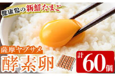ヤブサメファームのこだわり 酵素卵 60個（30個×2トレー） Mサイズ 冷蔵 鹿児島県産 卵 卵かけごはん や 卵焼き 玉子料理 にオススメ 【A-781H】