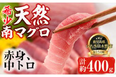 天然! 南マグロ 冷凍 中トロ 200g 赤身 200g 合計400g  希少 な ミナミマグロ の 味わいセット 南まぐろ 刺身 小分け 【新洋水産】 【A-1274H】