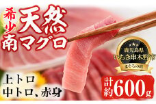 天然! 南マグロ 冷凍 上トロ 200g 中トロ 200g 赤身 200g 合計約600g  希少 な ミナミマグロ の 堪能セット 南まぐろ 刺身 小分け 【新洋水産】 【B-270H】