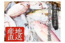 産地直送！新鮮！海の幸 朝獲れ鮮魚の詰合せ 鮮魚 詰め合わせ セット 直送 鮮魚 ボックス  【A-1769H】