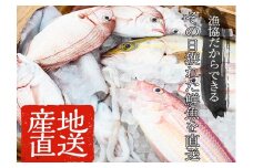 産地直送！新鮮！海の幸 朝獲れ鮮魚の詰合せ 鮮魚 詰め合わせ セット 直送 鮮魚 ボックス  【A-1769H】