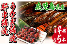 【数量限定】厳選！国産 鹿児島県産 うなぎ 蒲焼 大 4尾 合計約640g ＋ うなぎ 肝串 5本（1パック）鹿児島県産新仔うなぎ使用 こだわりの地焼き！冷凍うなぎ 秘伝のタレ 付き 真空パック 珍味 希少【南竹鰻加工】【D-606H】