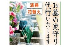 お墓の見守りサービス（清掃・花替）【D-027H】