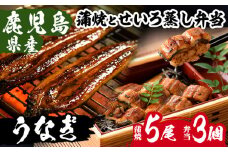 国産 鹿児島県産 うなぎ 蒲焼 大 5尾 約800g ＋ うなぎ せいろ蒸し弁当(280g×3個) 鰻養殖生産量日本一 鹿児島県産新仔うなぎ使用 こだわりの地焼き！ 冷凍うなぎ 秘伝のタレ 付き 贈答 ギフト にも！【南竹鰻加工】【E-128H】