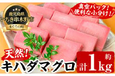 天然!  キハダマグロ 真空 冷凍  100g×7-10柵  合計約1kg を 便利 な 小分け 柵 でお届け! まぐろ 刺身  きはだまぐろ 赤身【海鮮まぐろ家】 【B-347H】