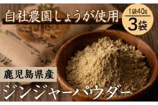 有機生姜使用！鹿児島県産ジンジャーパウダー 40g×3袋【A-580H】