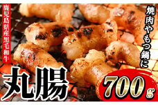 鹿児島県産 黒毛和牛 ホルモン 丸腸 700g 冷凍 国産 鹿児島県産 黒毛和牛  もつ鍋 焼肉 にも オススメ！【A-1557H】