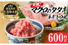 ネギトロ用 マグロ の タタキ 冷凍 小分け 約200g×3袋 計600g キハダマグロ・メバチマグロ 使用 マグロのたたき 自宅で ねぎとろ丼 鮪 ネギトロ ハンバーグにも! マグロ たたき まぐろ 赤身 まぐろ 小分け ふわっとした食感のまぐろ ネギトロ おさかなコーディネータもおすすめの マグロ たたき 【海鮮まぐろ家】 【A-1661H】