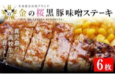 レンジでチン！金の桜黒豚 6食分 「黒豚味噌ステーキ （90g×6袋）」冷蔵 小分け の おかず セット レンジ 簡単調理 レトルト 電子レンジ対応 温めるだけ で お手軽  時短！豚肉 味噌漬け 【A-708H】