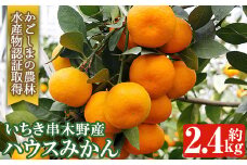 【先行予約！】JAさつま日置農協のハウスみかん　鹿児島県産のみかん約2.4kg（化粧箱入みかん25玉・30玉・36玉）【A-1919H】