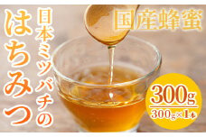【数量限定】国産はちみつ 非加熱 瓶入り 300g×1本 ニホンミツバチ から分けてもらった 無添加 百花 の 純粋蜂蜜♪【A-895H】