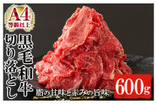 鹿児島県産 黒毛和牛 切り落とし 約600g（300g×2P）A4等級以上！冷凍 小分け 国産 鹿児島県産 黒毛和牛 牛肉 の 切り落とし は 焼肉 炒め物 にもオススメ【A-1553H】