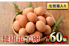 化粧箱入り！健康電子卵 赤卵 Lサイズ 60個（10個×6パック）（うち、割れ保証分10個）国産 鹿児島県産 鶏卵 1パック10個入りで使い勝手がいい！【A-1634H】