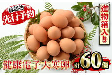【先行予約】数量・期間限定！2025年の健康電子大寒卵（だいかんたまご）（50個+割れ保障10個）国産 鹿児島県産 鶏卵 1パック10個入 【A-1770H】