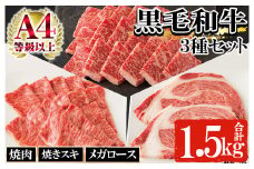 鹿児島県産 黒毛和牛 3種盛り合わせ Bセット 1500g（メガロース肉 500g・焼肉用赤身肉 500g・焼きスキロース肉 500g）自家製割り下付き！A4等級以上 詰合せ 冷凍 国産 鹿児島県産 黒毛和牛 食べ比べ 【C-123H】