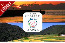 いちき串木野市への返礼品無し寄附（1,000円分）【Z-001】