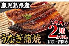 【期間限定】厳選！ 国産 鹿児島県産 うなぎ  蒲焼 特大 2尾 約400g 鰻養殖生産量日本一 鹿児島県産新仔うなぎ使用 こだわりの地焼き！ 冷凍うなぎ 秘伝のタレ 付き うな重 うな丼 きざみ鰻 うなぎのせいろ蒸し弁当にもオススメ！ 贈答 ギフト にも！【南竹鰻加工】【B-352H】
