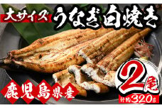 【数量限定】 厳選！ 国産 鹿児島県産 うなぎ 白焼き 大 2尾（約320g） 秘伝のタレ 付き 鰻養殖生産量日本一 鹿児島県産新仔うなぎ使用 こだわりの地焼き！ 国産 鹿児島県産 冷凍 うなぎ 鰻 ウナギ 白焼き ギフト にも！【南竹鰻加工】【B-351H】