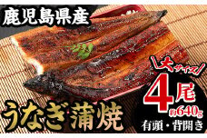 【期間限定】厳選！ 国産 鹿児島県産 うなぎ 蒲焼 4尾 大 合計約640g 鰻養殖生産量日本一 鹿児島県産新仔うなぎ使用 こだわりの地焼き！ 冷凍うなぎ 秘伝のタレ 付き うな重 うな丼 きざみ鰻 うなぎのせいろ蒸し弁当にもオススメ！ 贈答 ギフト にも！【南竹鰻加工】【C-201H】