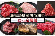 【12か月定期便】鹿児島県産 黒毛和牛 食べ尽くし セット 特撰ヒレステーキ や すき焼き用ロース、プリっプリ の 丸腸や もつ鍋セット など 毎月、少しの贅沢をお届けします！ 【E-142H】