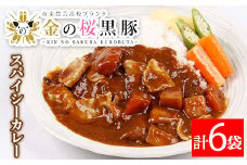 レンジでチン！金の桜黒豚 6食入り「スパイシー カレー 1.2kg（200g×6袋）」 常温保存 国産 の レトルト カレー  袋のまま レンチン お手軽 【A-1122H】