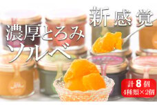 【期間限定】新感覚アイス！”濃厚とろみソルベ”4種のこだわり素材を使用したソルベ詰め合わせ♪計8個 常温でお届け♪ スイーツ シャーベット 冷菓 セット 詰め合わせ 果物 フルーツ デザート 【A-1913H】