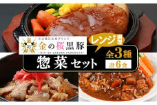 レンジでチン！金の桜黒豚 3種 おかず 詰め合わせ 6食入り 「煮込み ハンバーグ（180g×2袋）」「黒豚丼（180g×2袋）」「スパイシーカレー（180g×2袋）」 冷蔵 小分け の おかず セット レンジ 簡単調理 レトルト 電子レンジ対応 温めるだけ で お手軽  時短！ 【A-1283H】