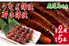 【数量限定】厳選！ 国産 鹿児島県産 うなぎ 蒲焼 2尾 約300g と うなぎの肝串×1パック（1パック：5本入り）鹿児島県産新仔うなぎ使用 こだわりの地焼き！冷凍 真空パック 小分け 肝焼き 珍味 希少【南竹鰻加工】【B-353H】