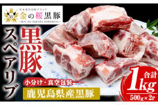 金の桜黒豚 骨付き スペアリブ 約1kg（500g×2袋）真空パックでお届け！冷凍 小分け 真空包装 国産 鹿児島県産 黒豚 骨付き スペアリブ バーベキュー グリル にもおすすめ【A-1385H】