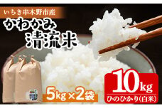【令和6年度 新米 ＜10月中旬より発送＞】米 10kg（5kg×2袋）かわかみ清流米（ひのひかり） 令和6年 鹿児島県産 農家直送 新米 米 白米 10kg 袋 ひのひかり 備蓄 や 贈答 にもオススメ！【AA-036H】
