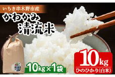 【令和6年度 新米 ＜10月中旬より発送＞】米 10kg！（10kg×1袋）かわかみ清流米（ひのひかり） 令和6年 鹿児島県産 農家直送 新米 米 白米 10kg 袋 ひのひかり 備蓄 や 贈答 にもオススメ！【AA-035H】