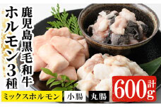 鹿児島県産 黒毛和牛 ホルモン 3種 盛合わせ 600g（小腸 200g 丸腸 200g ミックスホルモン 200g） 冷凍 小分け 国産 鹿児島県産 黒毛和牛 ミックス ホルモン 焼肉【A-1460H】