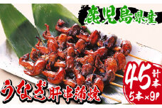 数量限定！ 国産 鹿児島県産 うなぎ 肝串 45本！(5本×9パック)  鹿児島県産 新仔うなぎ 使用 こだわりの地焼き！冷凍 真空パック 小分け 肝焼き 珍味 希少 【南竹鰻加工】【B-356H】