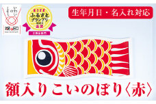 額入りこいのぼり【赤色】ESSEふるさとグランプリ2023金賞受賞！【E-113bH】