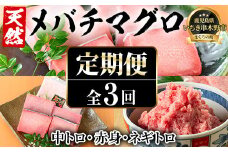 【3か月定期便】天然メバチマグロ！中トロ・赤身・ネギトロ(総量1.8kg) まぐろ マグロ 赤身 中トロ 冷凍 小分け【D-1006H】