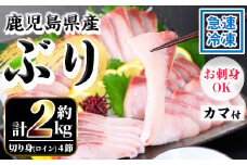 ＜先行予約＞鹿児島県産 養殖 ぶり （ハマチ）の切り身「ロイン4節・カマ2個付」合計約2kg！ ハマチ 出世魚 ぶり 急速冷凍 刺身 漬け ぶりしゃぶ にもおすすめ！【B-394H】