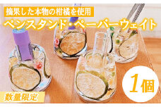 【数量限定】摘果柑橘を有効活用したペンスタンド・ペーパーウェイト(1個) ルシエルフュゼ 【A-1522H】
