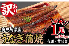 訳あり 国産 鹿児島県産 うなぎ 蒲焼 特大 190g超 1尾 鹿児島県産新仔うなぎ使用 こだわりの地焼き！冷凍うなぎ 秘伝のタレ 付き うな重 うな丼 きざみ鰻 簡易包装 でお届け！【南竹鰻加工】【A-1673H】