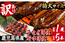訳あり！国産うなぎ（鹿児島県産うなぎ）蒲焼 特大 190g超 と うなぎの肝串1パック（1パック：5本入り）冷凍 真空パック 珍味 希少 鹿児島県産新仔うなぎ使用 こだわりの地焼き！鰻重 きざみ鰻 簡易包装 でお届け！【南竹鰻加工】【A-1674H】