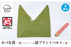 あづま袋【鶯(うぐいす)】と漆プリントベルト【赤】セット【A-1536kH】