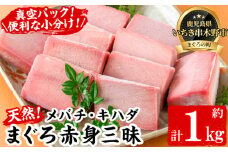 天然!  メバチマグロとキハダマグロ 冷凍 それぞれ 赤身 100g×5  合計約1kg を 便利 な 小分け 柵 でお届け! まぐろ 刺身  めばちまぐろ 赤身 きはだまぐろ 赤身【海鮮まぐろ家】 【B-346H】