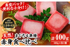 天然 マグロ 赤身 食べ比べ! 本まぐろ 南まぐろ メバチまぐろ キハダまぐろ それぞれ 赤身100g 合計400g 小分け柵でお届け! 刺身 に 【海鮮まぐろ家】【A-1657H】