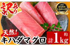 ☆訳あり☆ 数量限定 天然!  キハダマグロ  冷凍 200g前後柵×4-6柵 たっぷり 合計約1kg!  天然 きはだまぐろ を 柵 で お届け! わけあり 訳アリ  刺身 小分け キハダ キハダマグロ 【海鮮まぐろ家】 【在庫一掃】 【A-1736H】